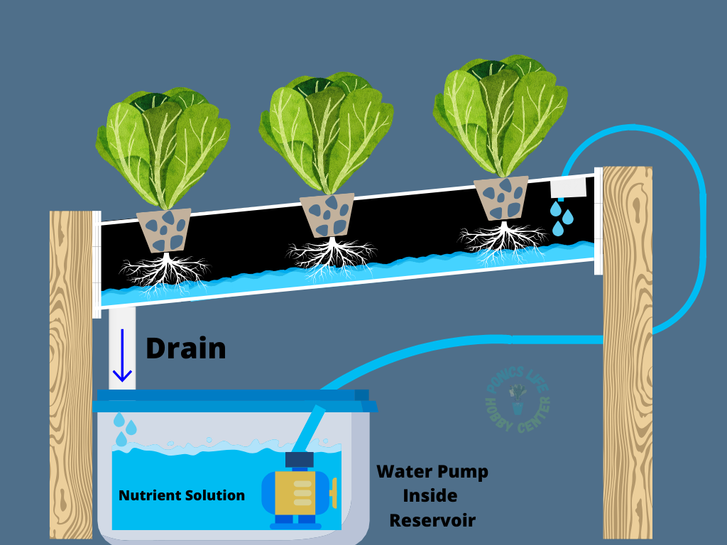 Nutrient reservoir and circulation system for basil NFT