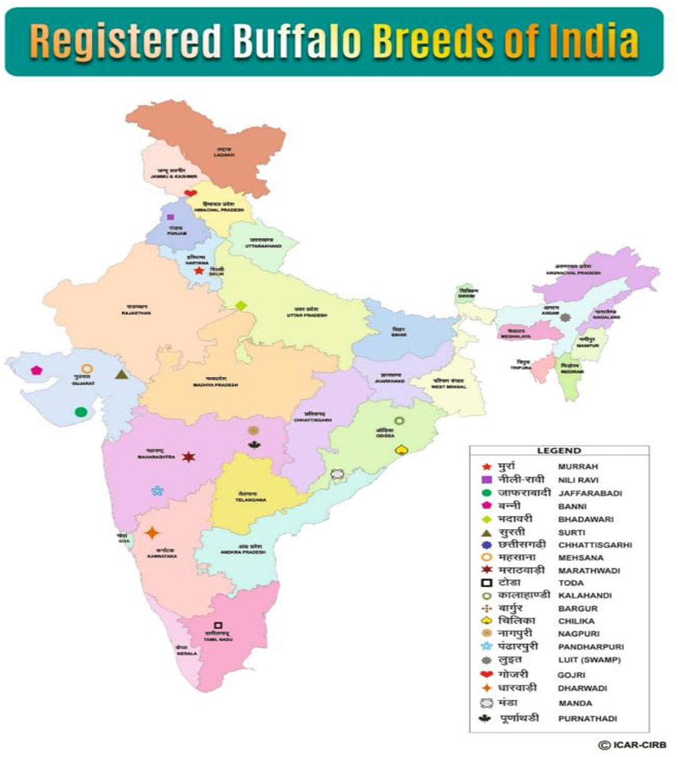 Regional Distribution of Dairy Cow and Buffalo Breeds Across India
