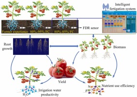 Nutrient and Fertigation