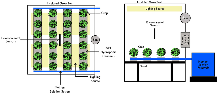 saffron Climate factors