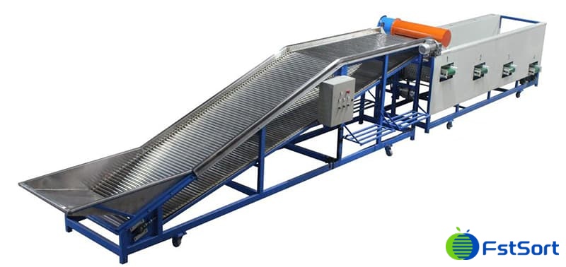 saffron Corm grading