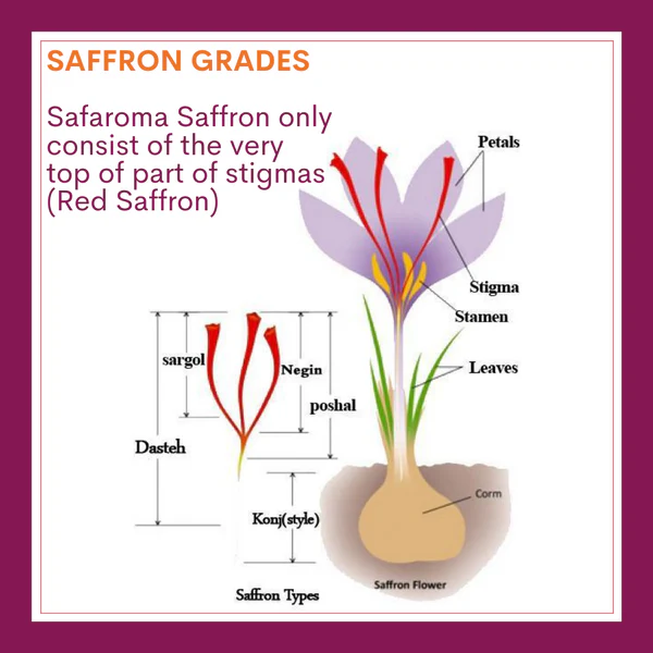 saffron Corm grading