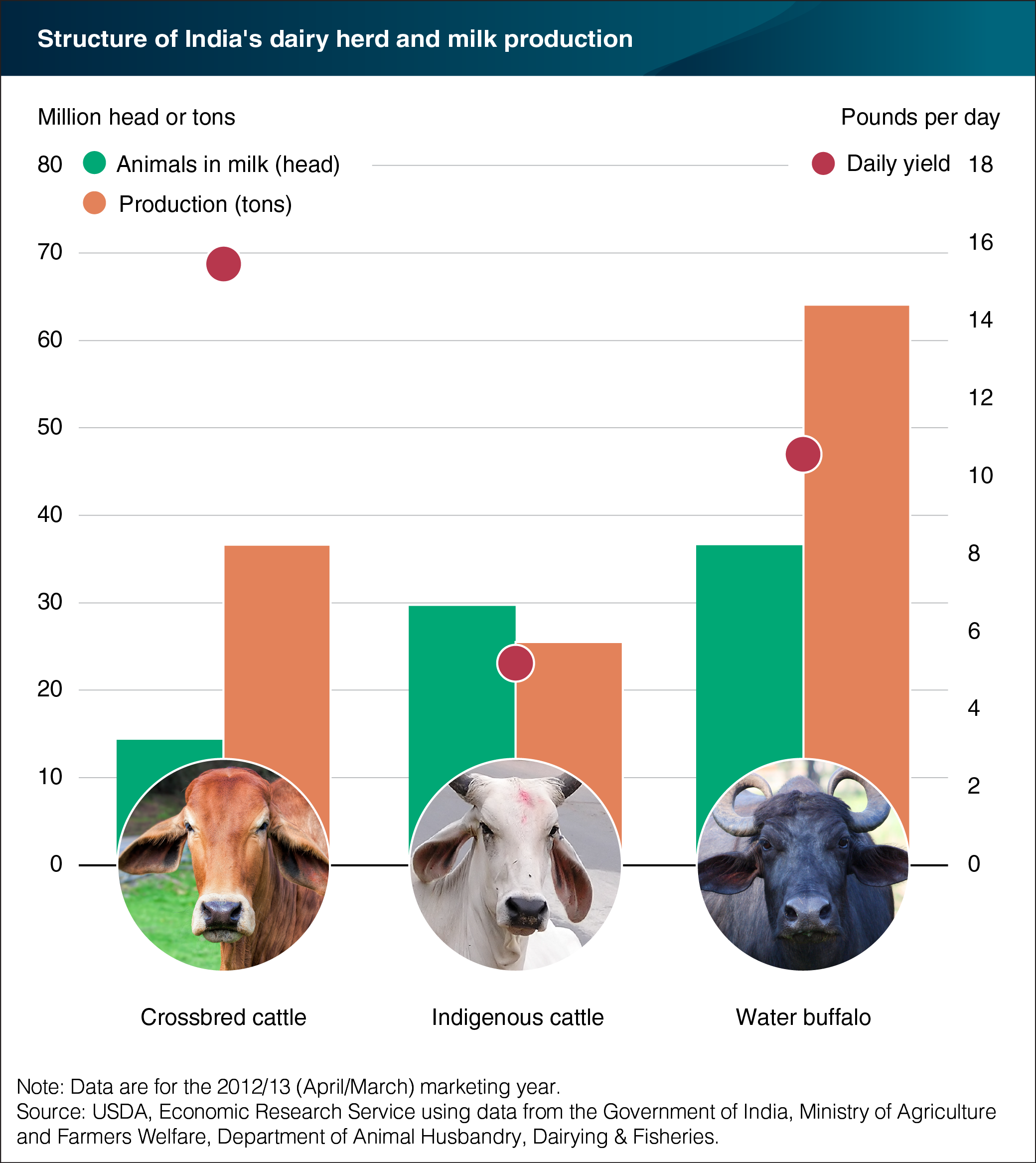 Economics of LABAN Production – 100 Cow Integrated Dairy Unit (India)