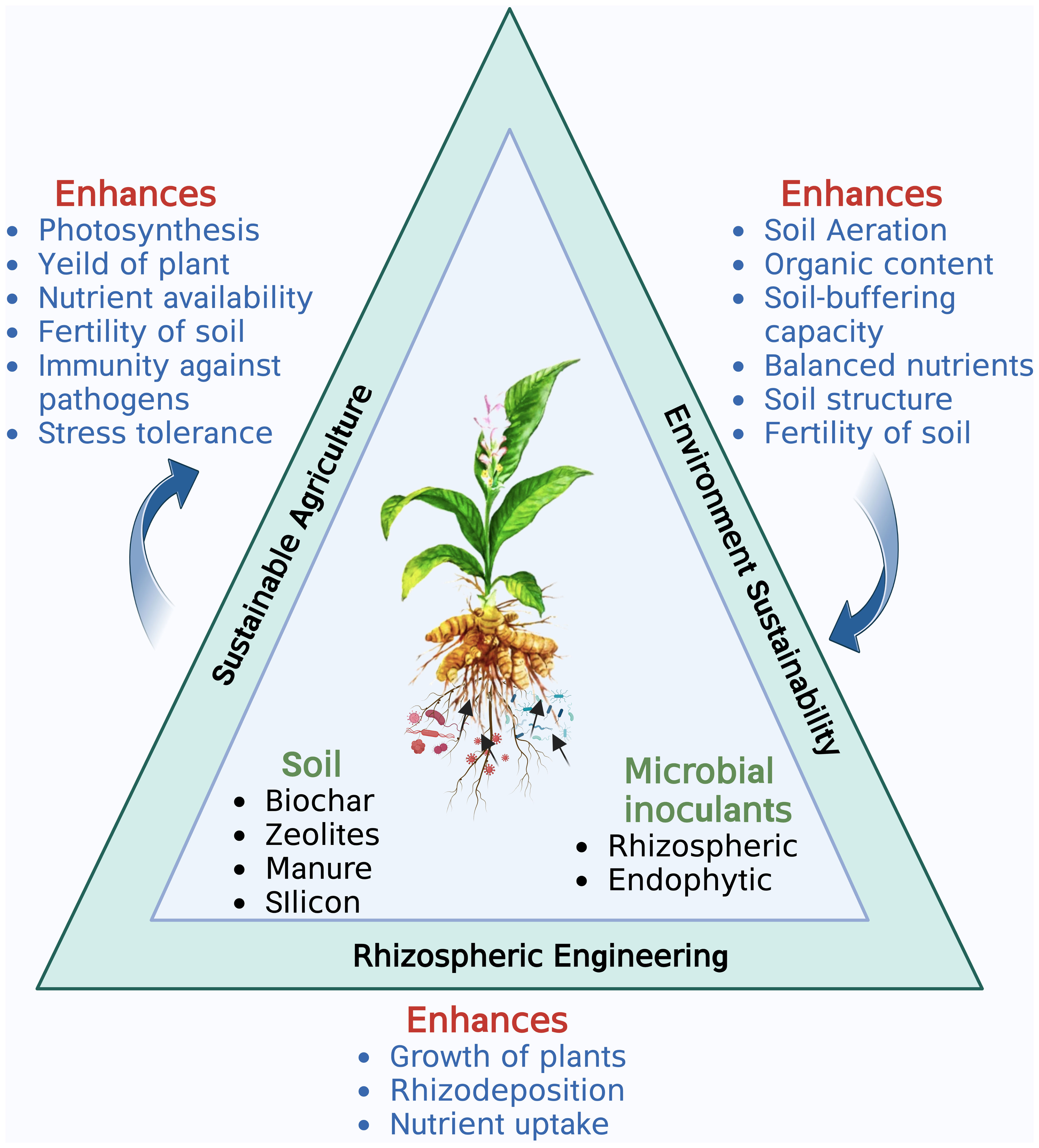 Lakadong Turmeric under Protected Cultivation – Part 14: Research Gaps, Innovation Pathways, and Future Directions