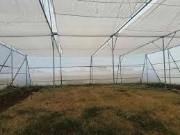 Natural ventilation systems in polyhouse cultivation