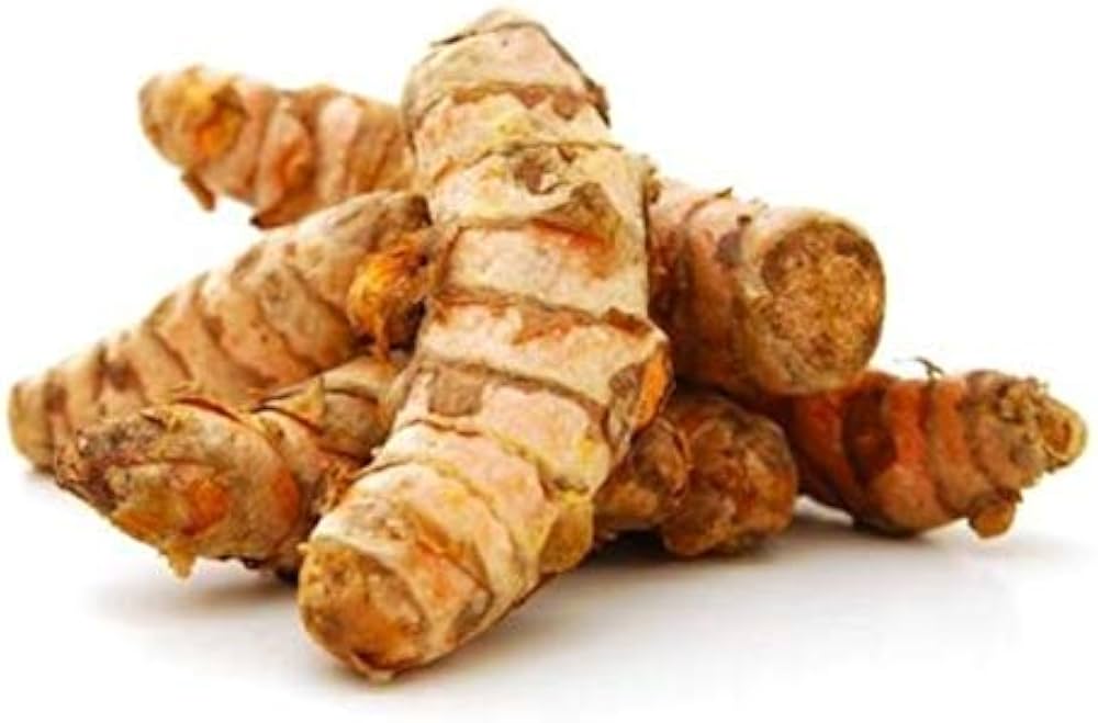 Lakadong Turmeric under Protected Cultivation – Part 6: Planting Material Selection and Propagation Strategies