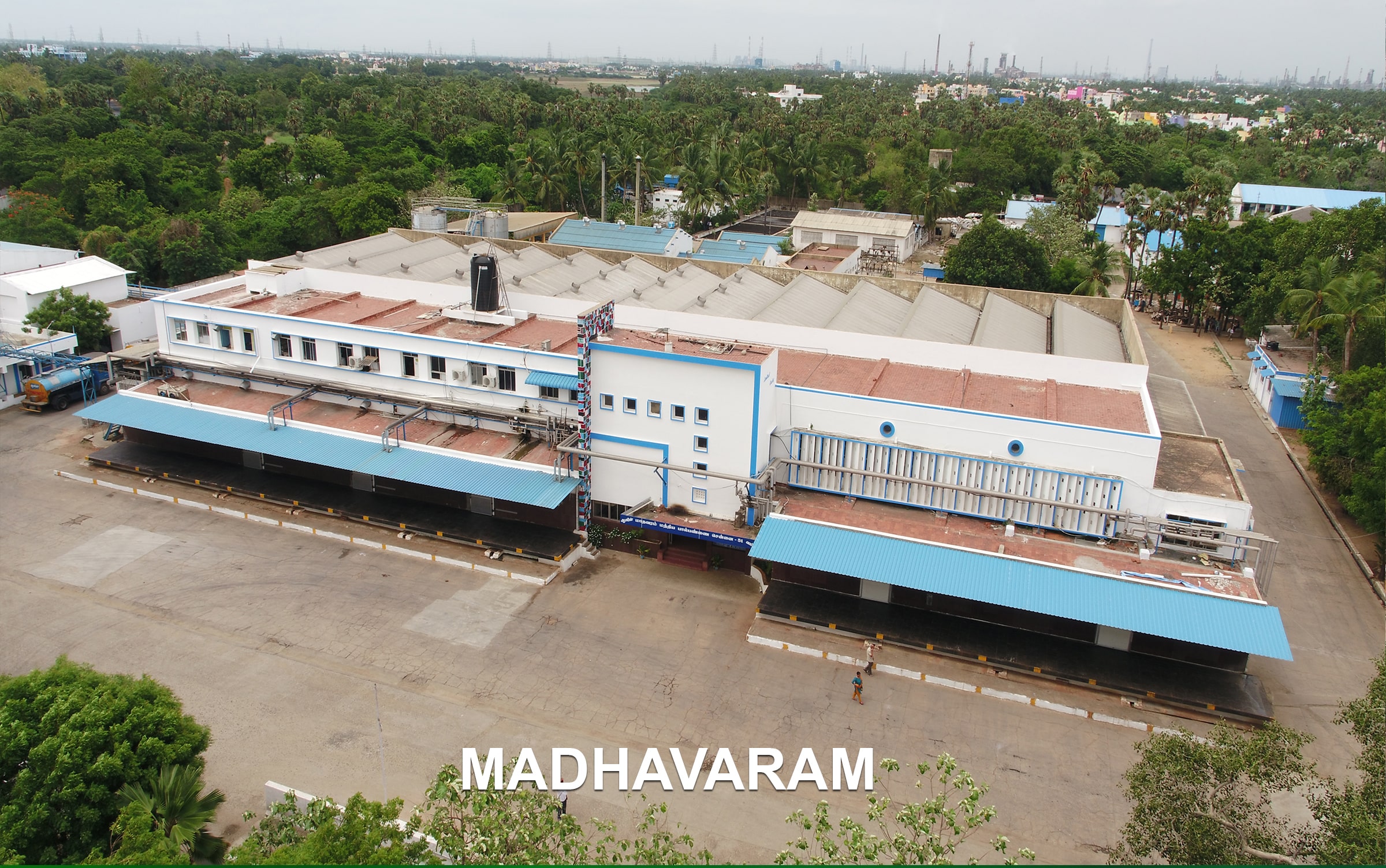 Aavin Dairy Brand – Tamil Nadu Cooperative Milk Producers Federation