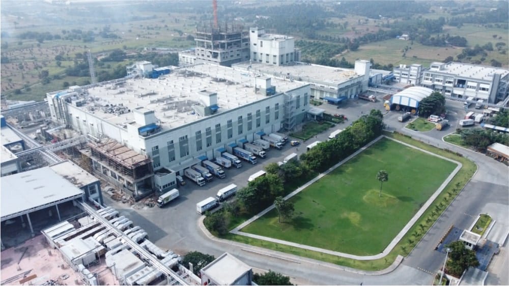 Milky Mist Dairy Brand – Value-Added Dairy Product Focus