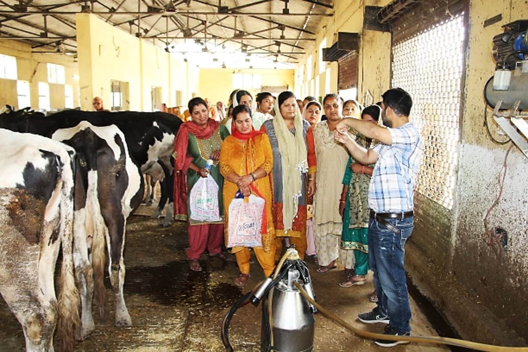 Dairy Training and Extension Institutes – Farmer Capacity Building in India