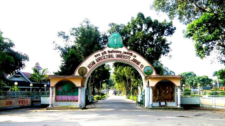 State Agricultural and Veterinary Universities – Dairy Science and Veterinary Education in India
