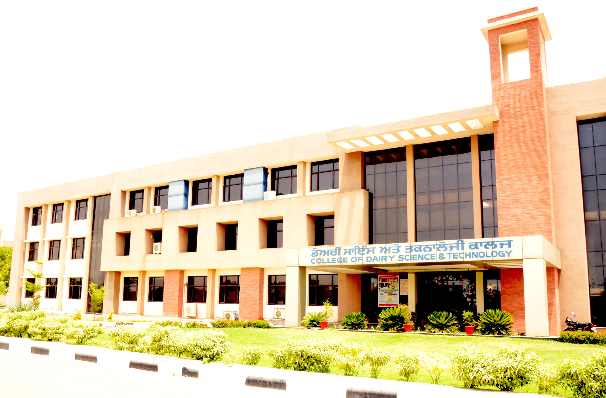 State Agricultural and Veterinary Universities – Dairy Science and Veterinary Education in India