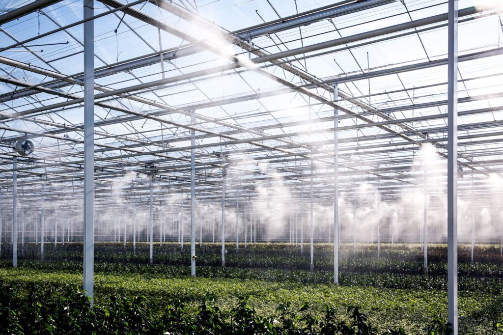Misting system installed in orchid greenhouse