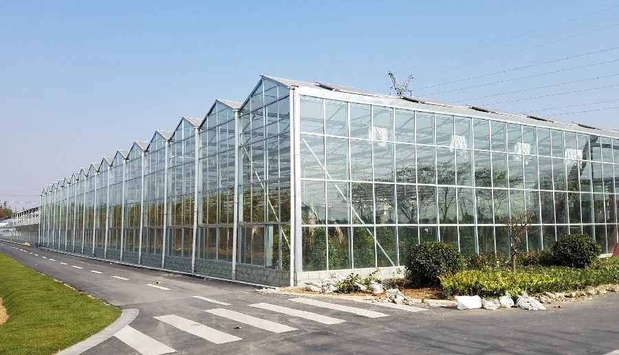 Glass greenhouse system