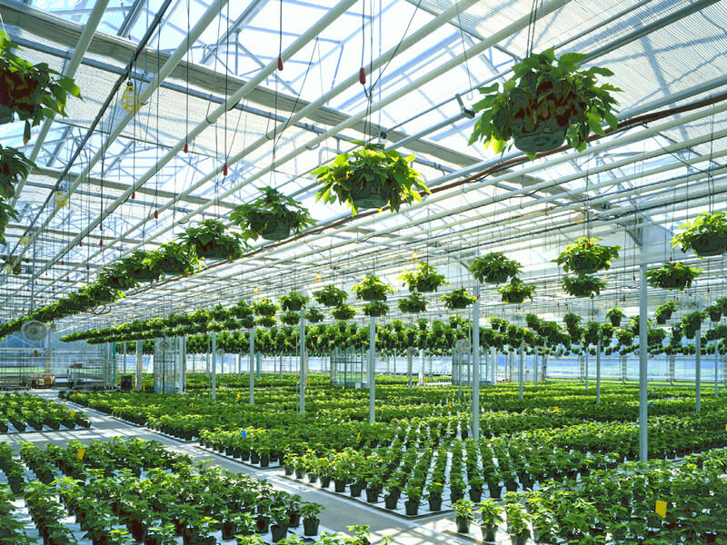 Glass greenhouse system