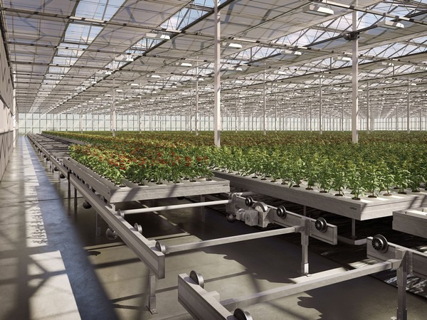 Glass greenhouse system