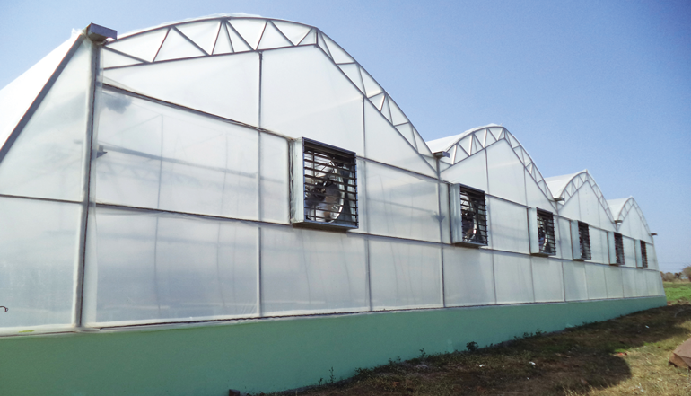 Polyhouse structure for floriculture