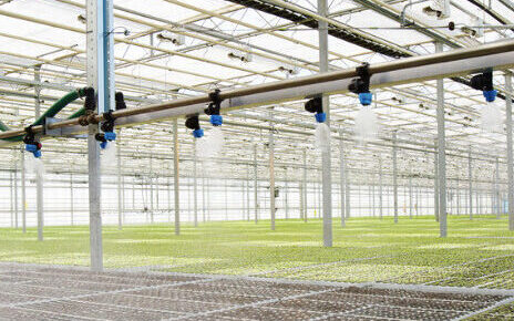 Operating costs in polyhouse floriculture