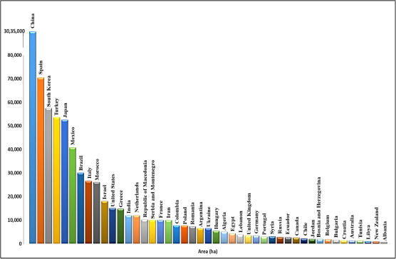 over view of protected cultivation