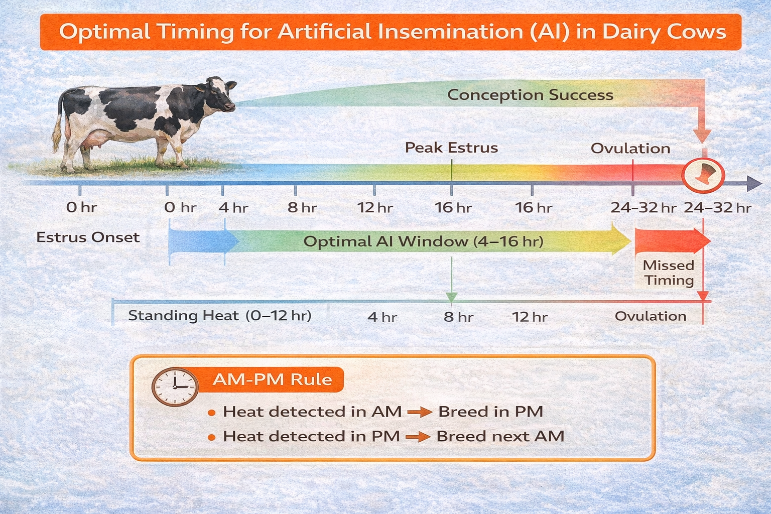 Artificial Insemination Timing Chart