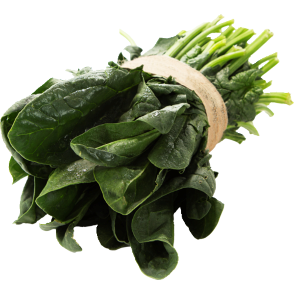 Harvested spinach grown in NFT system