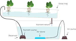 Nutrient reservoir and circulation system for NFT