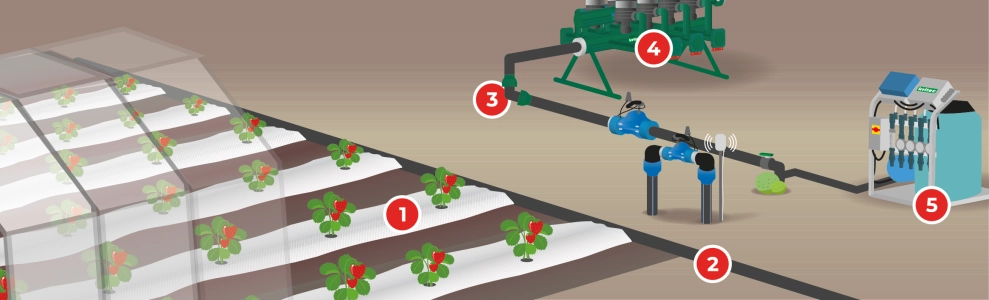 irrigation system drip