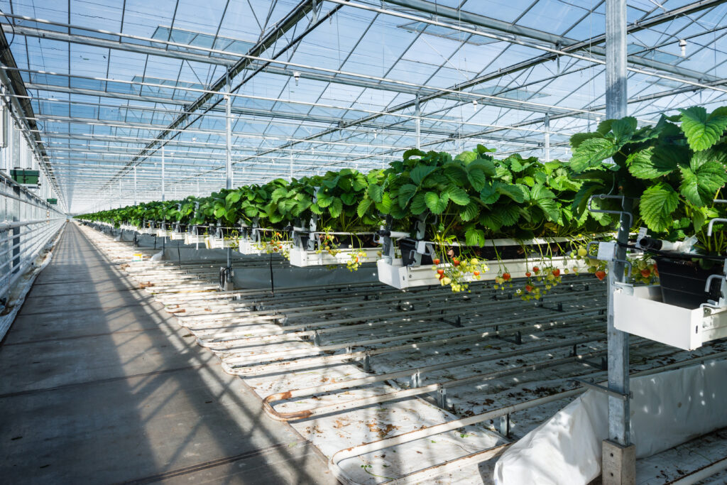 well ventilated growing system