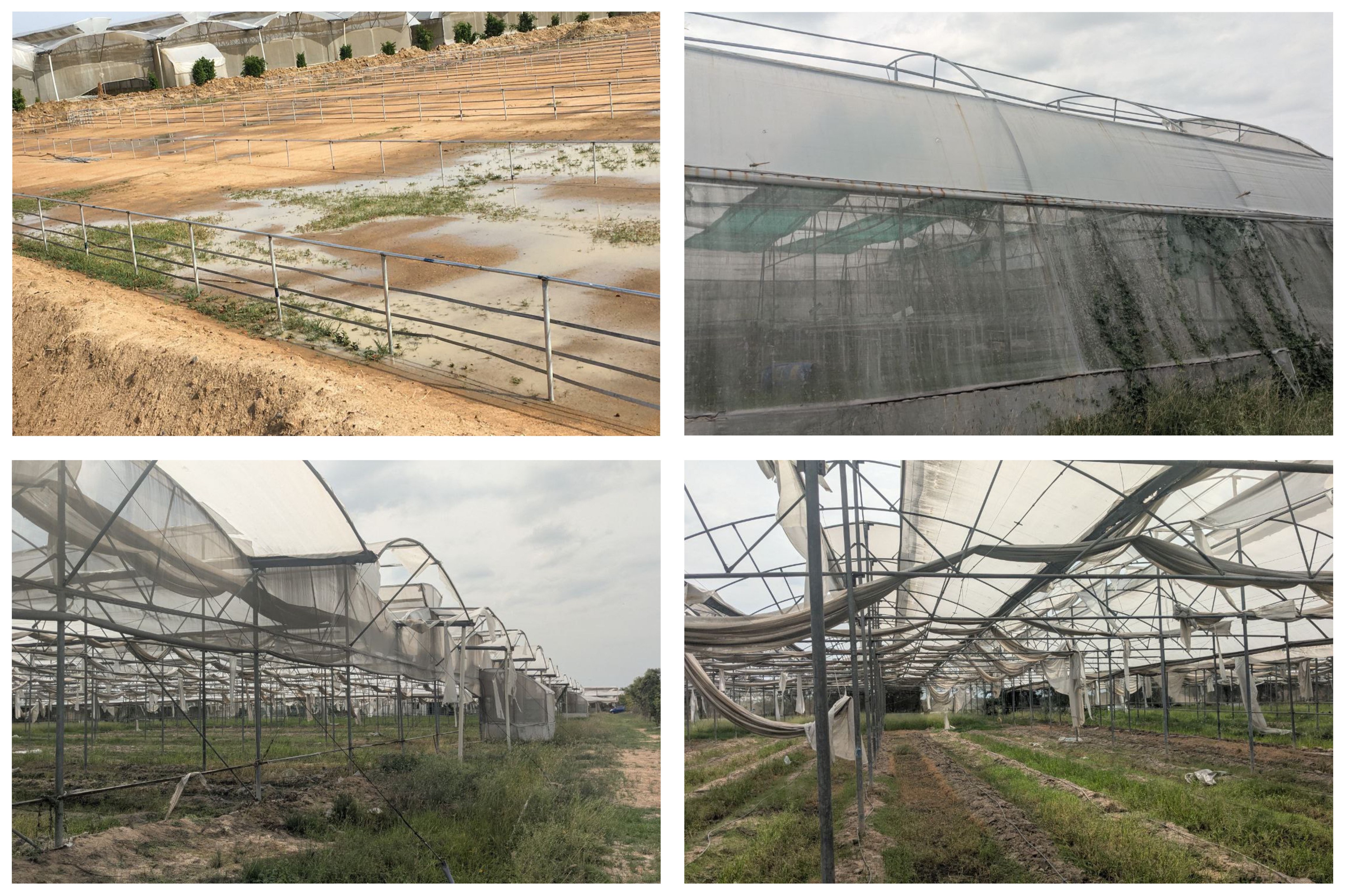 Edaiyarpakkam Farm condition after cyclone — requires refurbishment