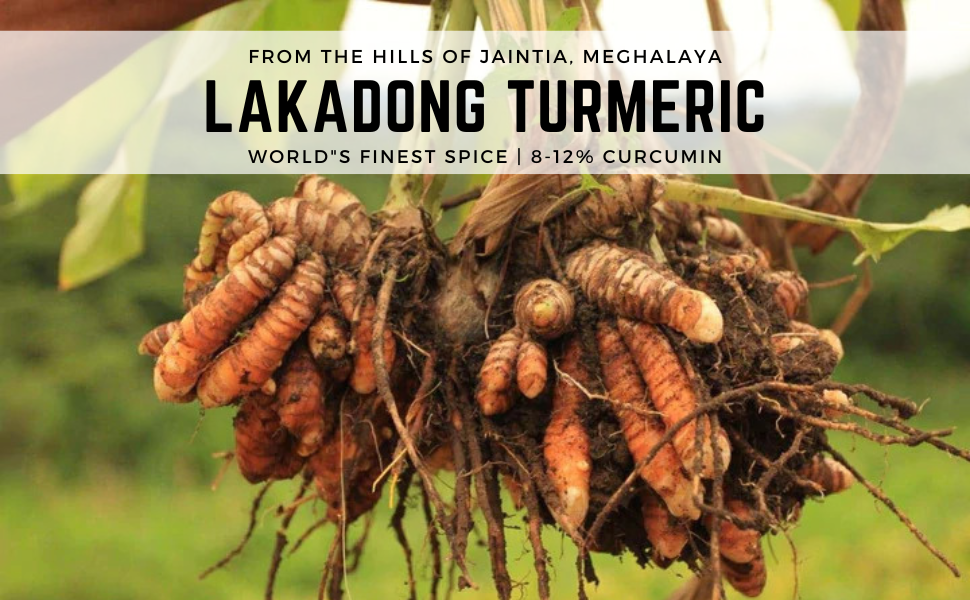 Lakadong rhizome — Seechur Agro